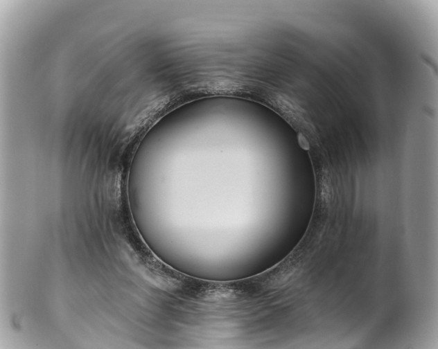 X0000101180206200807071253