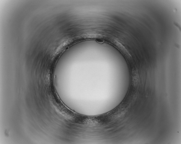 X0000101180207200807071253