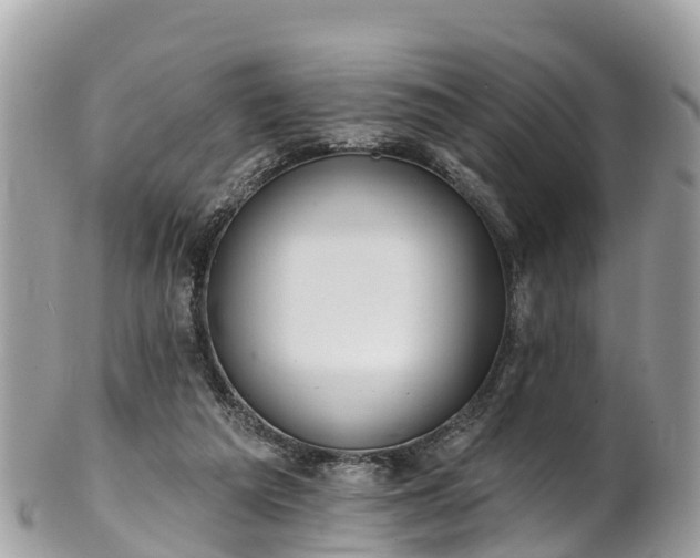 X0000101180209200807071253