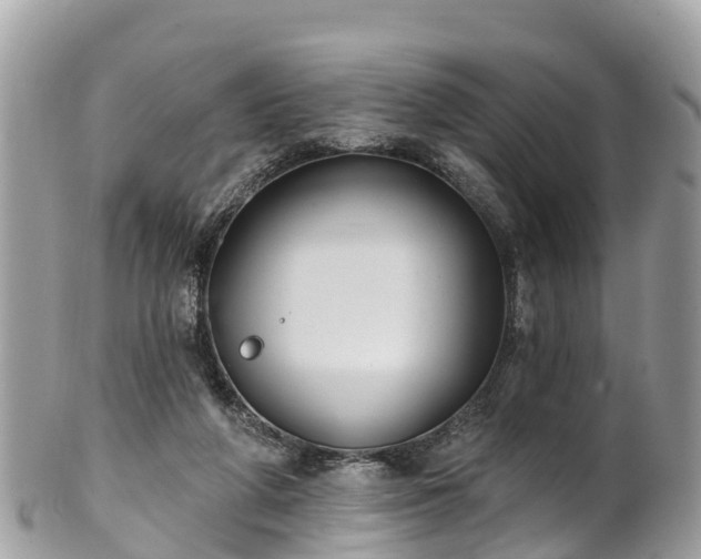X0000101180210200807071253