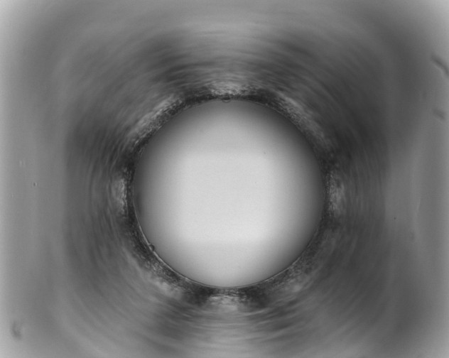 X0000101180211200807071253