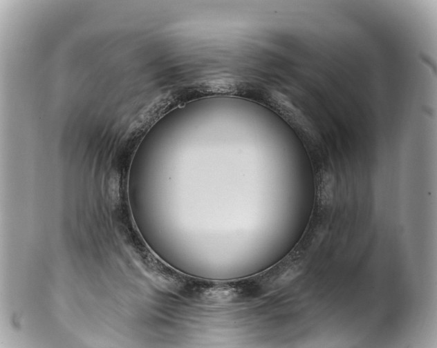 X0000101180213200807071253