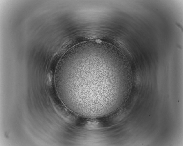 X0000101180214200807071253