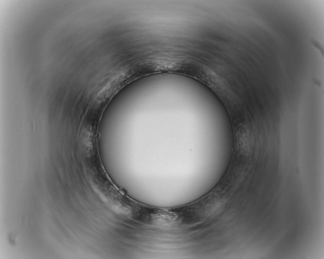 X0000101180215200807071253