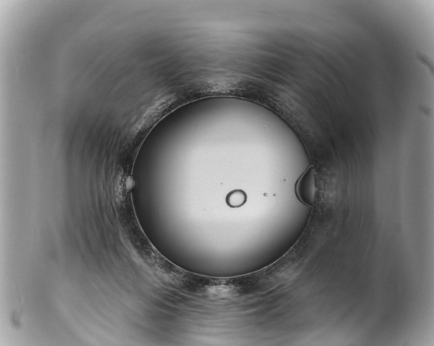 X0000101180216200807071253