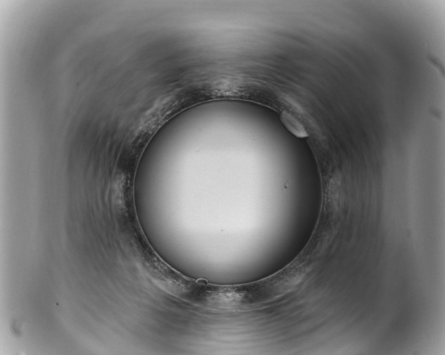 X0000101180217200807071253