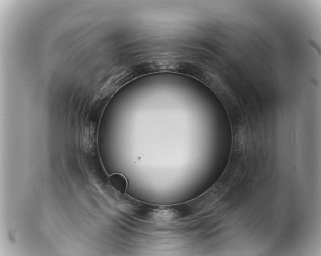 X0000101180218200807071253