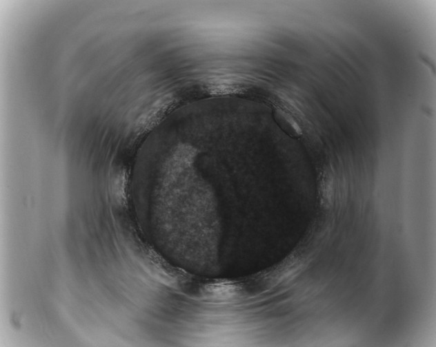 X0000101180219200807071253