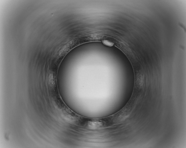 X0000101180220200807071253