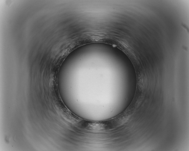 X0000101180221200807071253