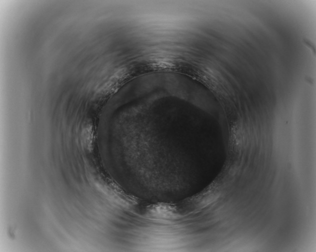 X0000101180223200807071253