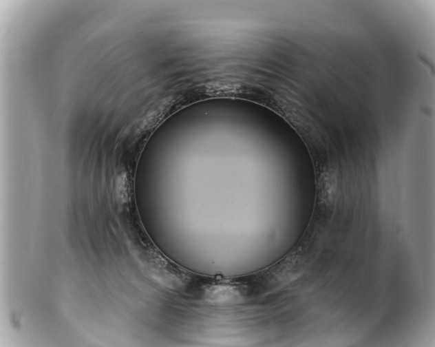 X0000101180224200807071253