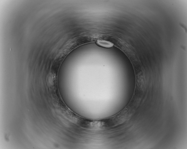 X0000101180225200807071253