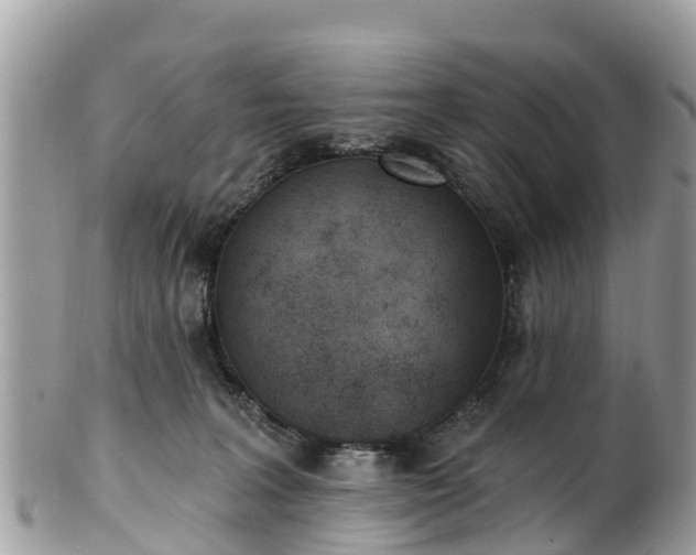 X0000101180227200807071253