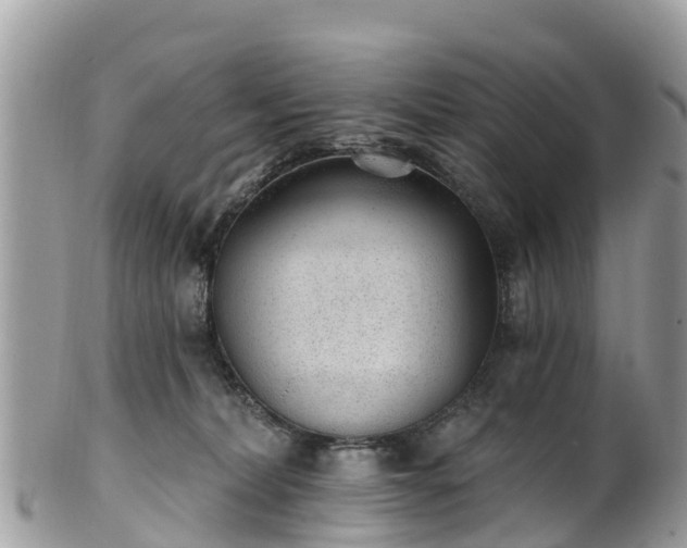 X0000101180228200807071253