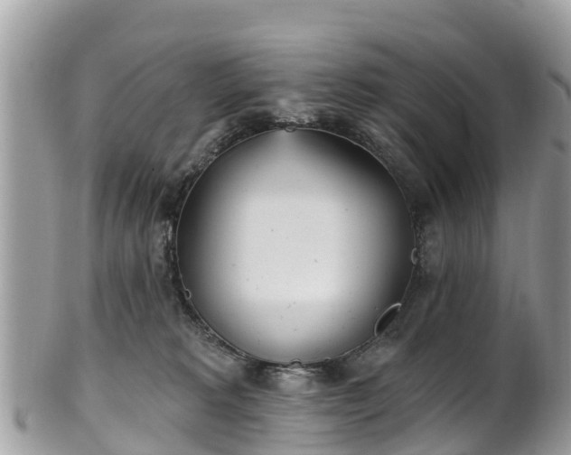 X0000101180229200807071253