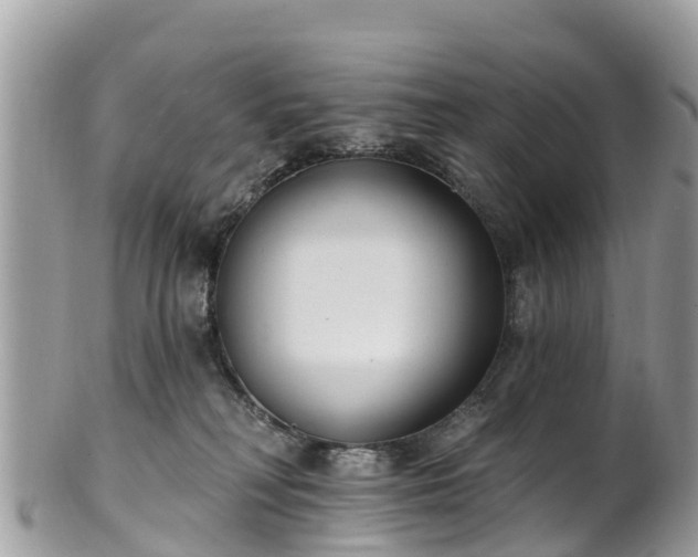 X0000101180230200807071253