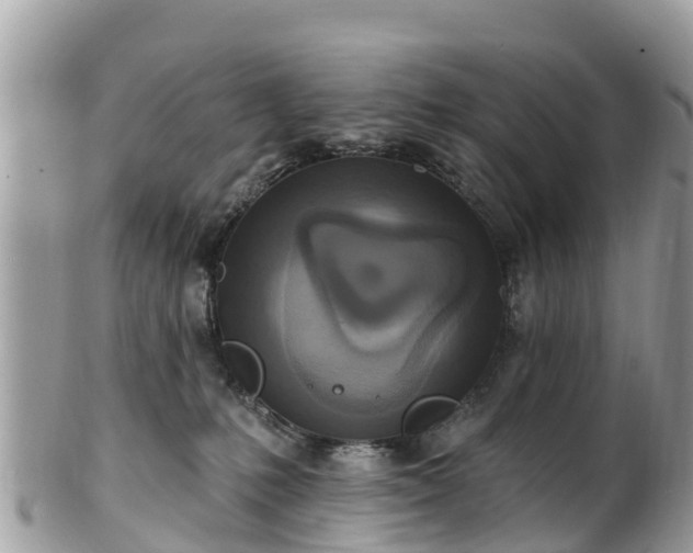 X0000101180231200807071253
