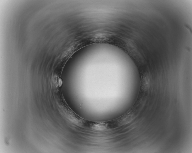 X0000101180232200807071253
