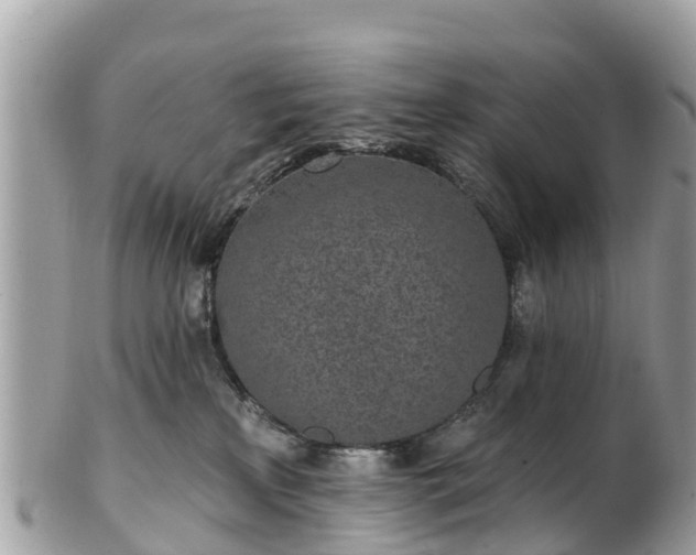 X0000101180233200807071253
