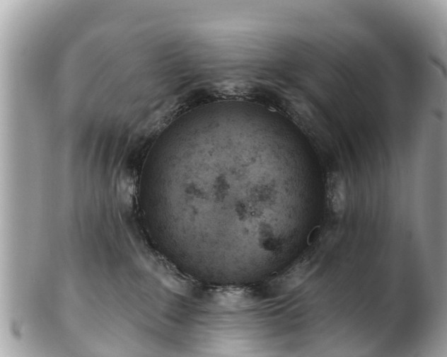 X0000101180235200807071253