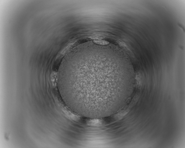 X0000101180237200807071253