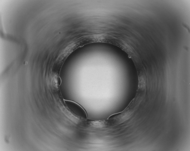 X0000101180238200807071253