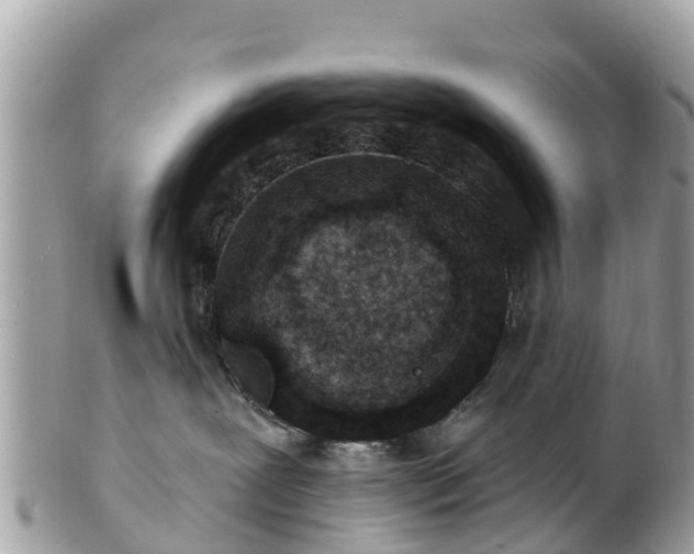 X0000101180239200807071253