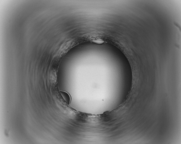 X0000101180240200807071253