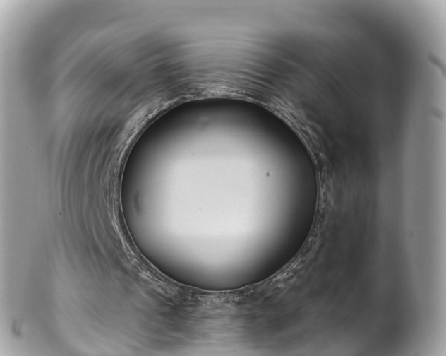 X0000101180241200807071252