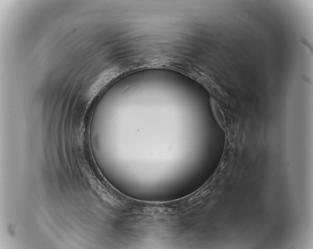 X0000101180242200807071252