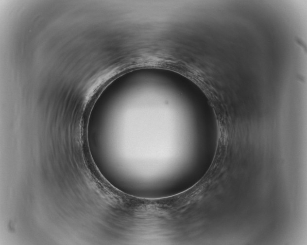 X0000101180244200807071252