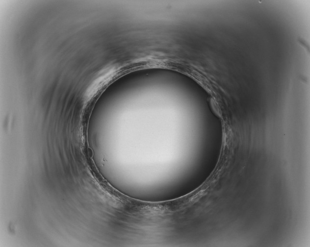 X0000101180245200807071252