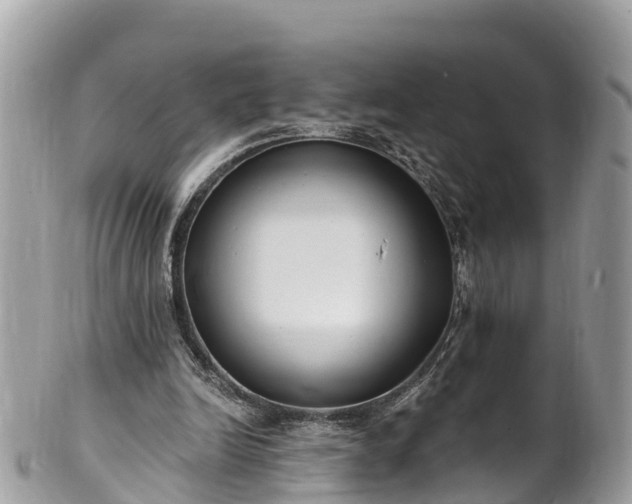 X0000101180246200807071252