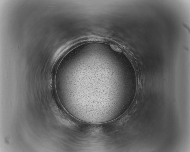 X0000101180247200807071252