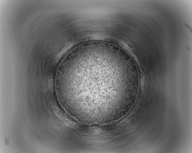 X0000101180249200807071252