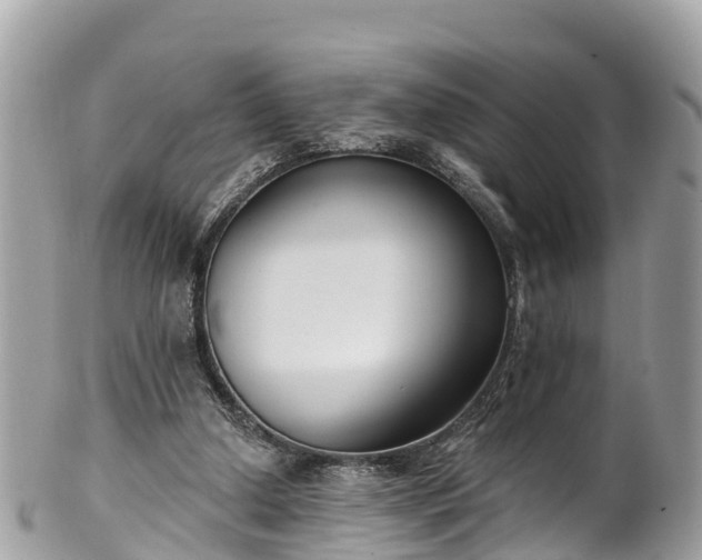 X0000101180250200807071252