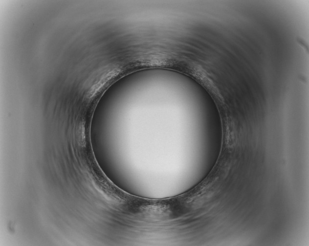 X0000101180251200807071252