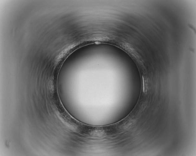 X0000101180252200807071252