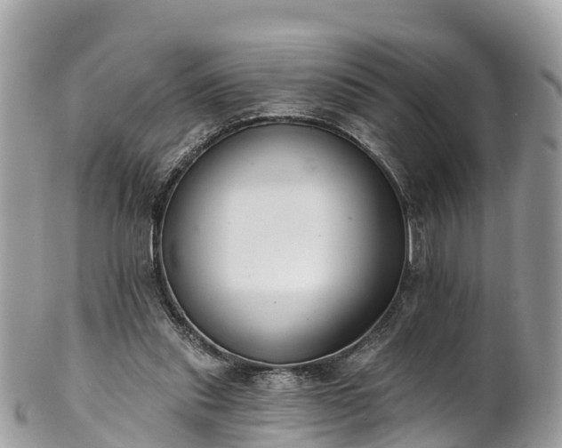 X0000101180253200807071252