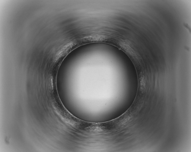 X0000101180254200807071252