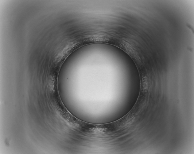 X0000101180255200807071252