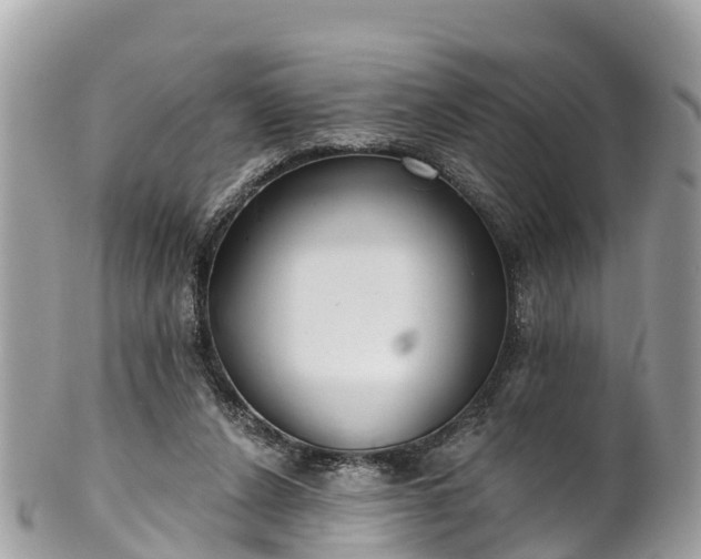 X0000101180256200807071252