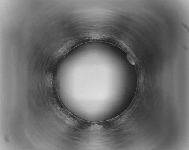 X0000101180257200807071252