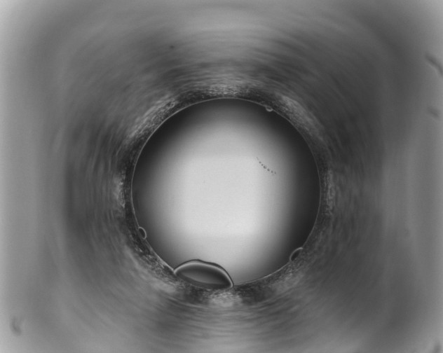 X0000101180258200807071252