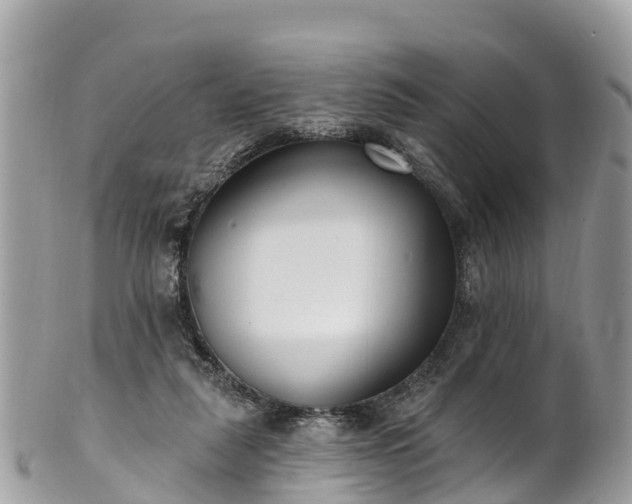X0000101180259200807071252