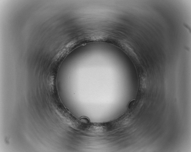 X0000101180260200807071252