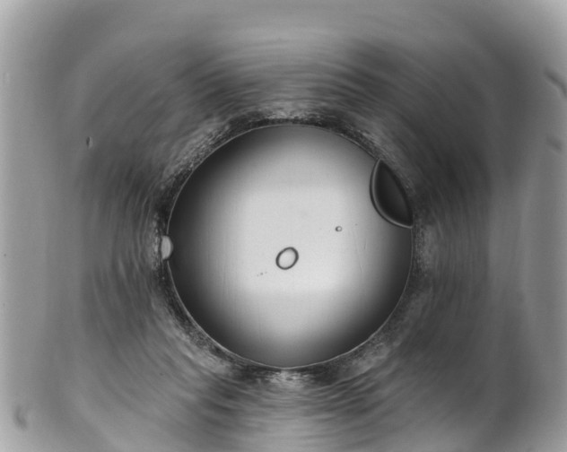 X0000101180261200807071252