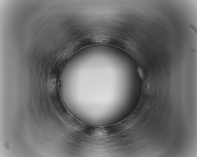 X0000101180263200807071252