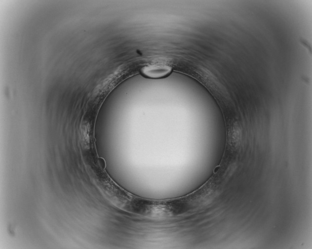X0000101180264200807071252